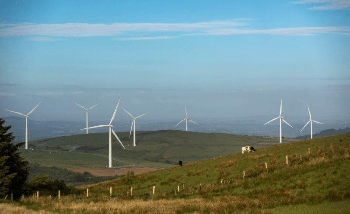 Windfarm greenery